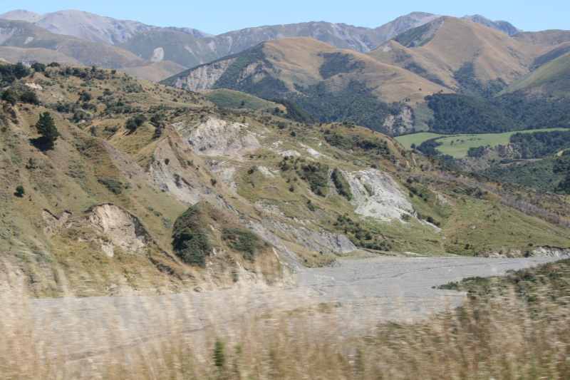 Nieuw-Zeeland 2011 - 1267